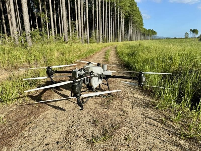 Drone operating on a forestry track for SmartData forestry analytics